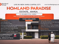 How to Make Money from Agricultural Land in Anambra State How to make money from Agricultural land in Anambra state