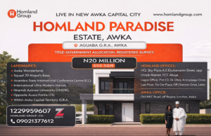 How to Make Money from Agricultural Land in Anambra State How to make money from Agricultural land in Anambra state